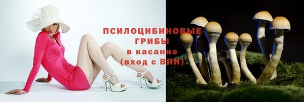 гидропоника Заволжье