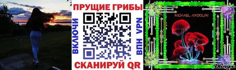 цены наркотик  Ленинск  blacksprut   Галлюциногенные грибы ЛСД 